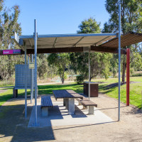 Galah - Plough & Harrow West, Abbotsbury