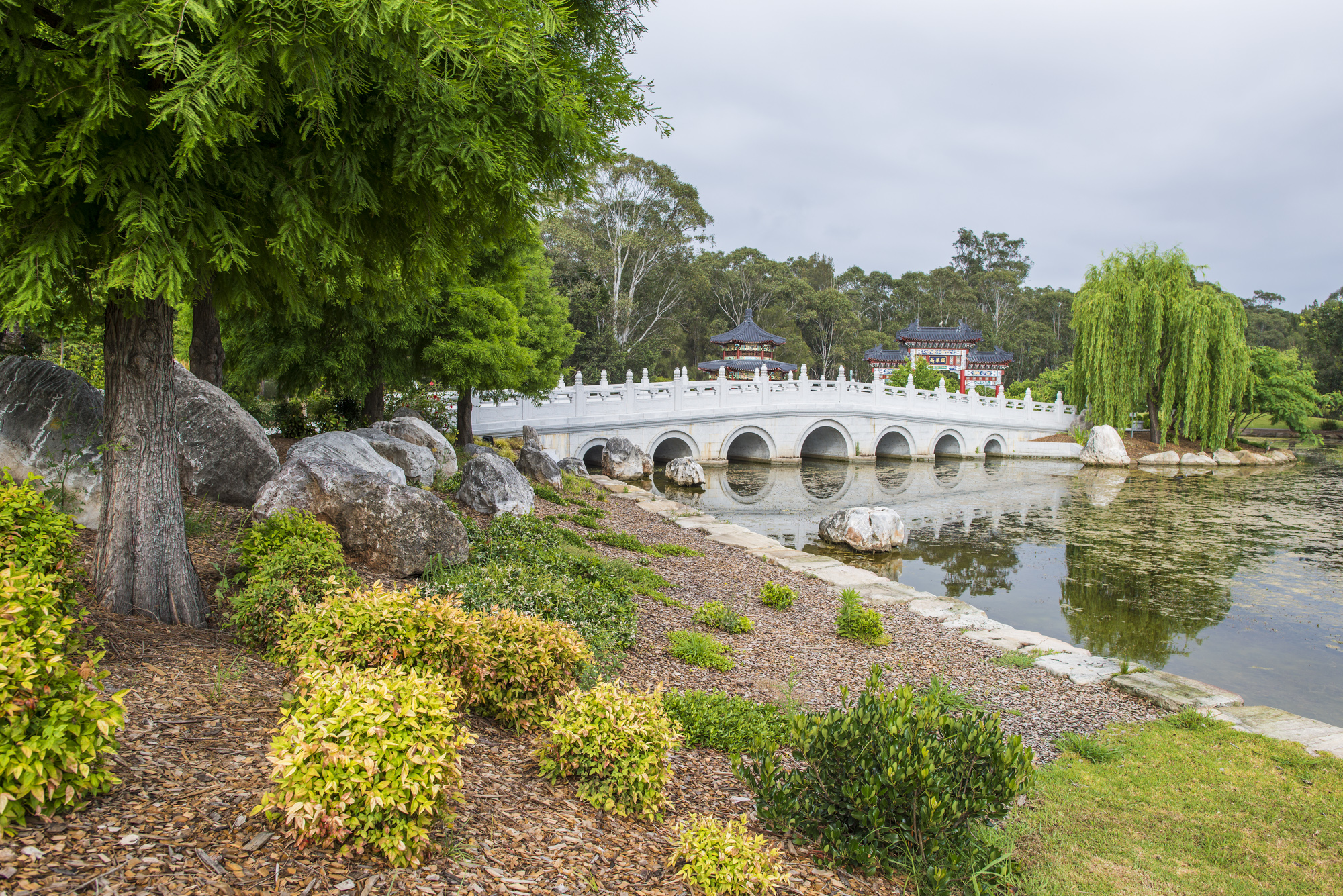 Nurragingy reserve bridge